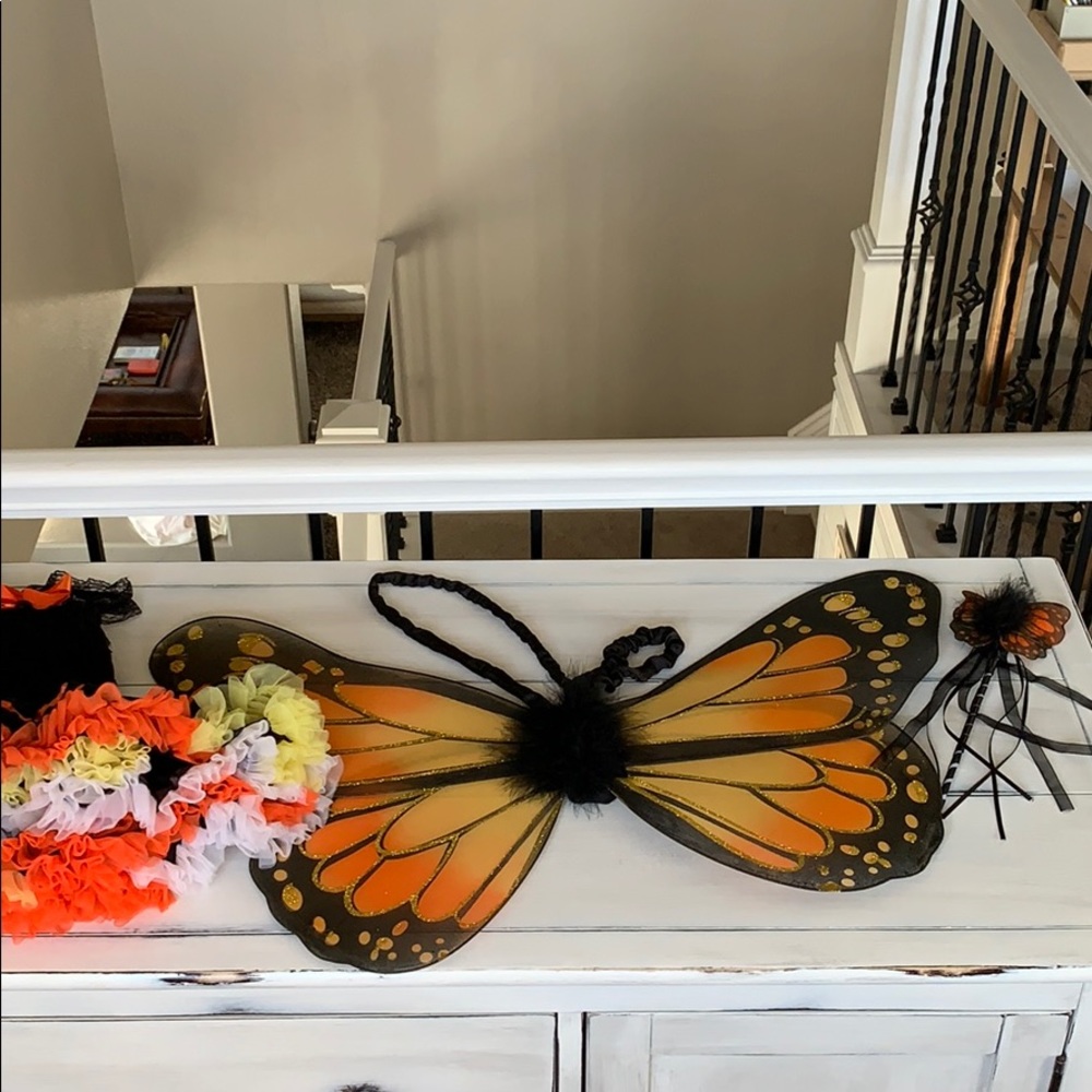 Butterfly costume size small.